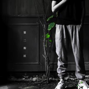 嫩草网站在我进入
