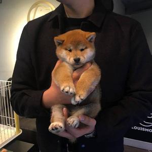 嫩草网站在我进入
