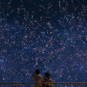 可以看黄色的软件
