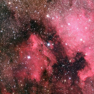 星空无限传媒国产剧情
