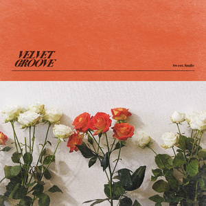 嫩草网站在我进入
